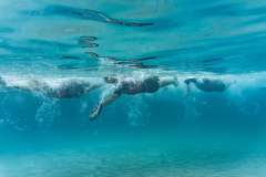 OTILLO-CANNES-2025-Adam-Axelsson-041025-103057-HR