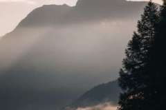 Daydreamer.tv-1702
