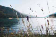 Daydreamer.tv-1710