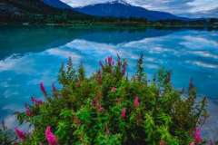 Z82_9912-Edit