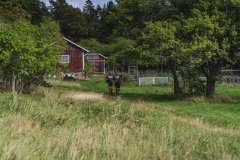 OTILLO-WC-2025-Adam-Axelsson-010925-134449-HR